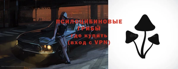винт Баксан