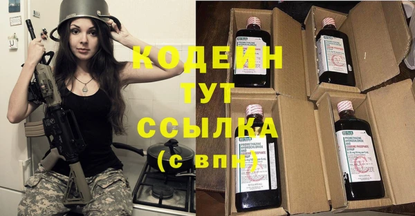 индика Пролетарск