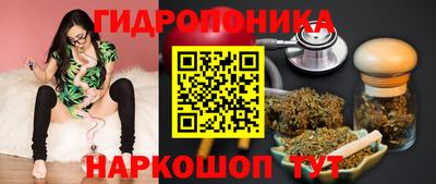 СК Владимир
