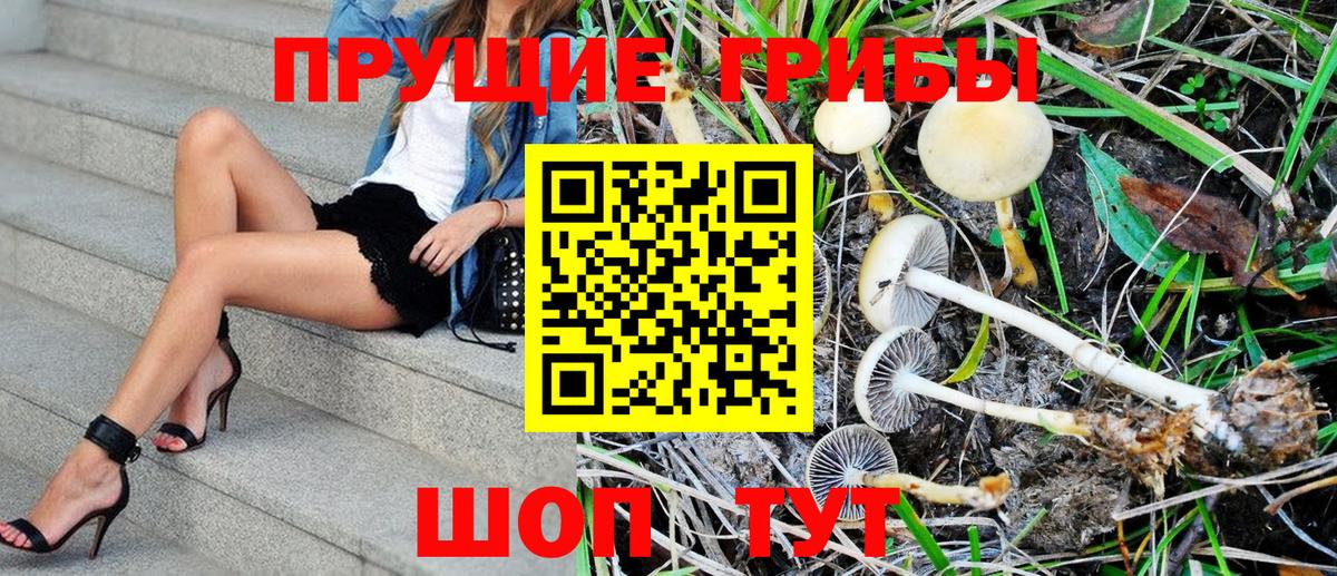 Галлюциногенные грибы MAGIC MUSHROOMS Баксан